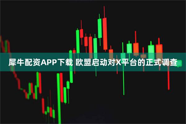 犀牛配资APP下载 欧盟启动对X平台的正式调查