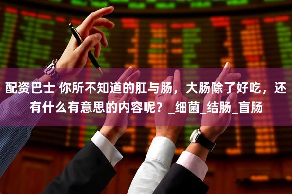 配资巴士 你所不知道的肛与肠，大肠除了好吃，还有什么有意思的内容呢？_细菌_结肠_盲肠